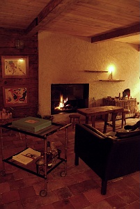 DECO AMBIANCE  SALON  (15)